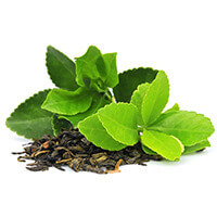 Green Tea Extract