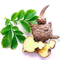 Prebiotic